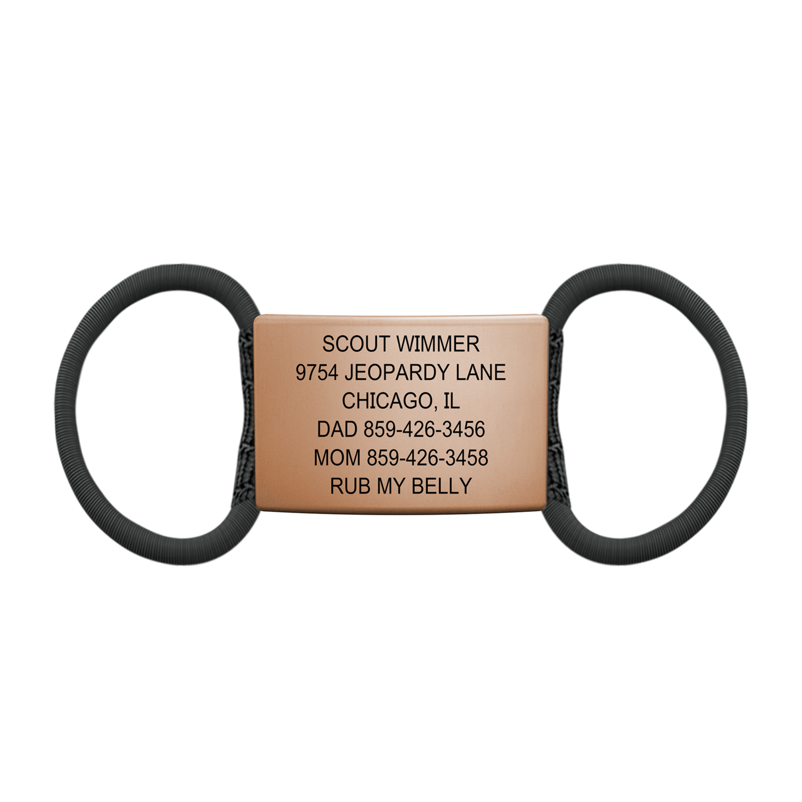 The Pet ID Rose Gold 19mm