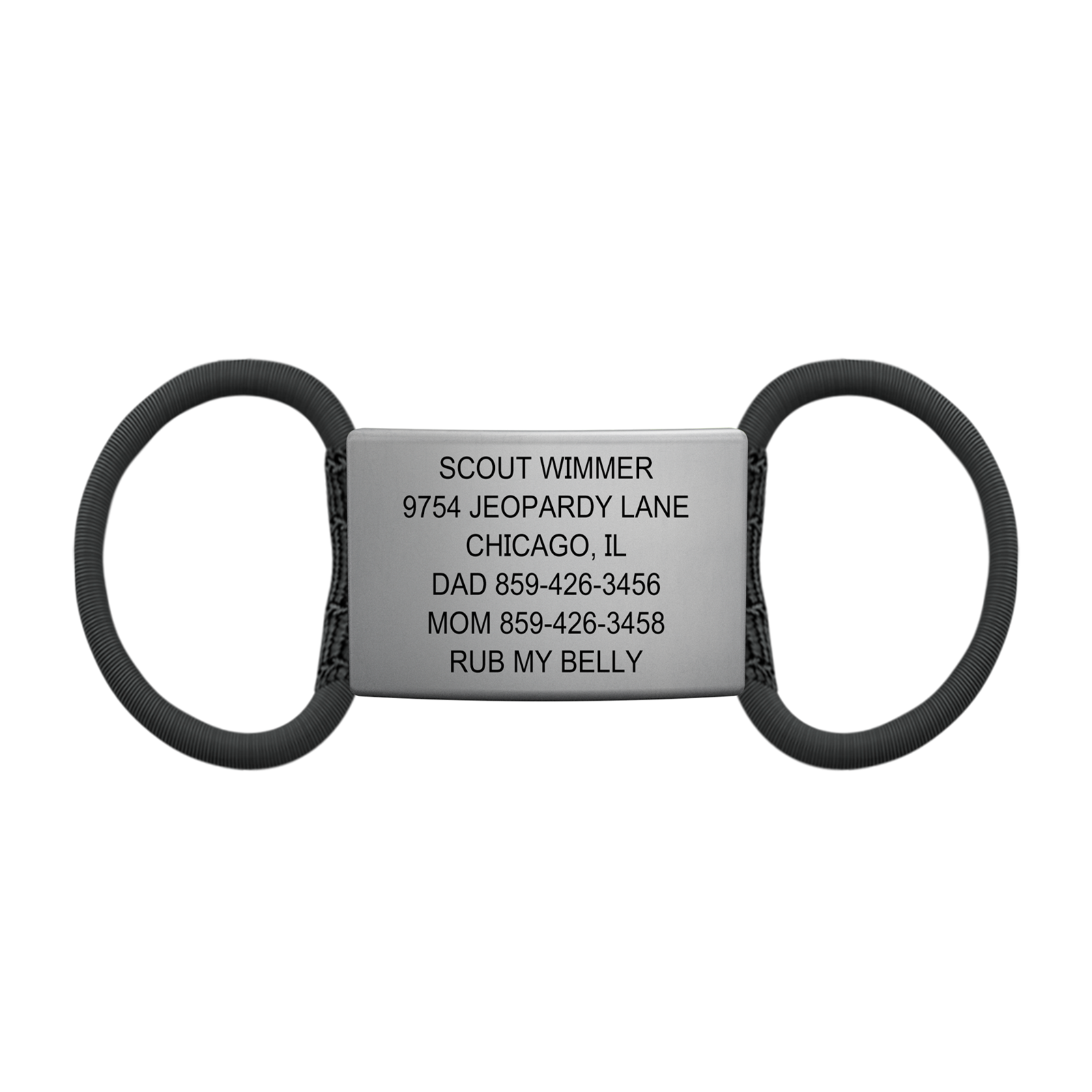 The Pet ID Slate 19mm