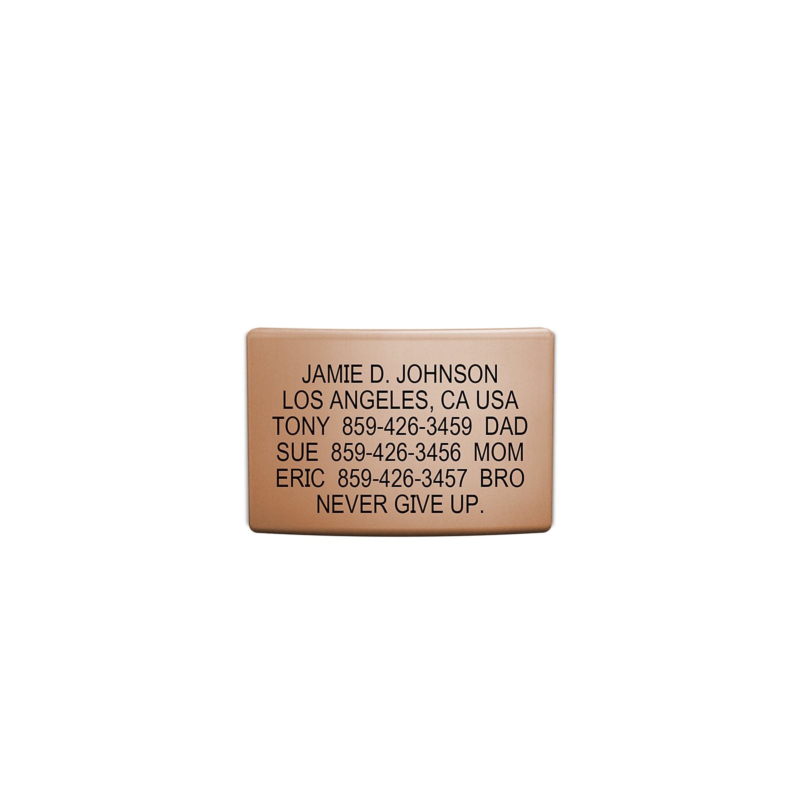 The Wrist ID Elite 19mm Rose Gold Replacement Faceplate