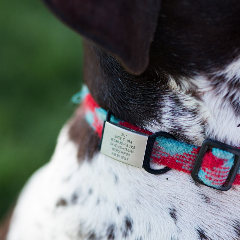 The Pet ID Graphite 13mm
